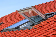 Shangton roof window